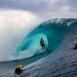 Meet your Posher, Bear